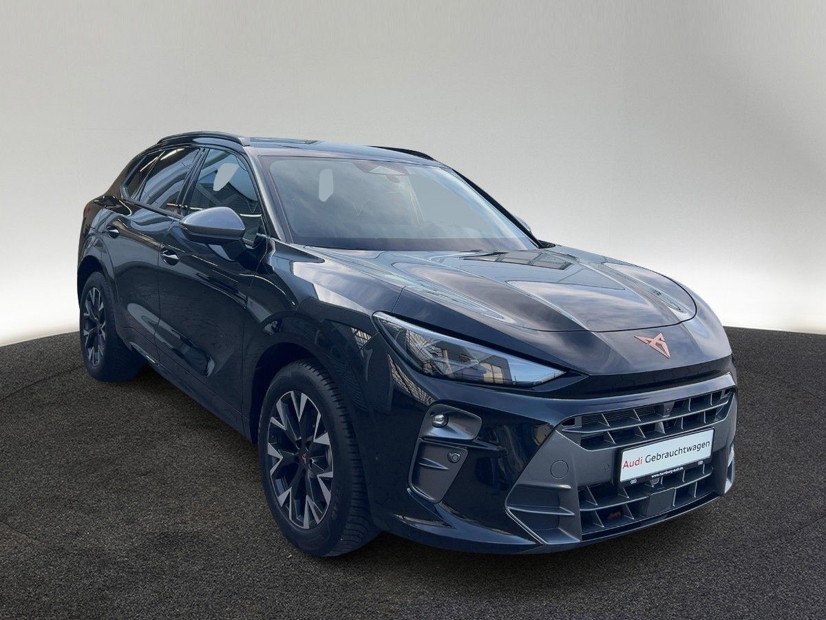 Cupra Terramar - Bild 5