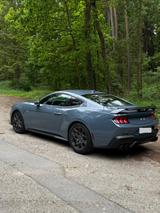 Ford Mustang GT s650, Grail, Spoiler, Garantie  - Ford Mustang S650