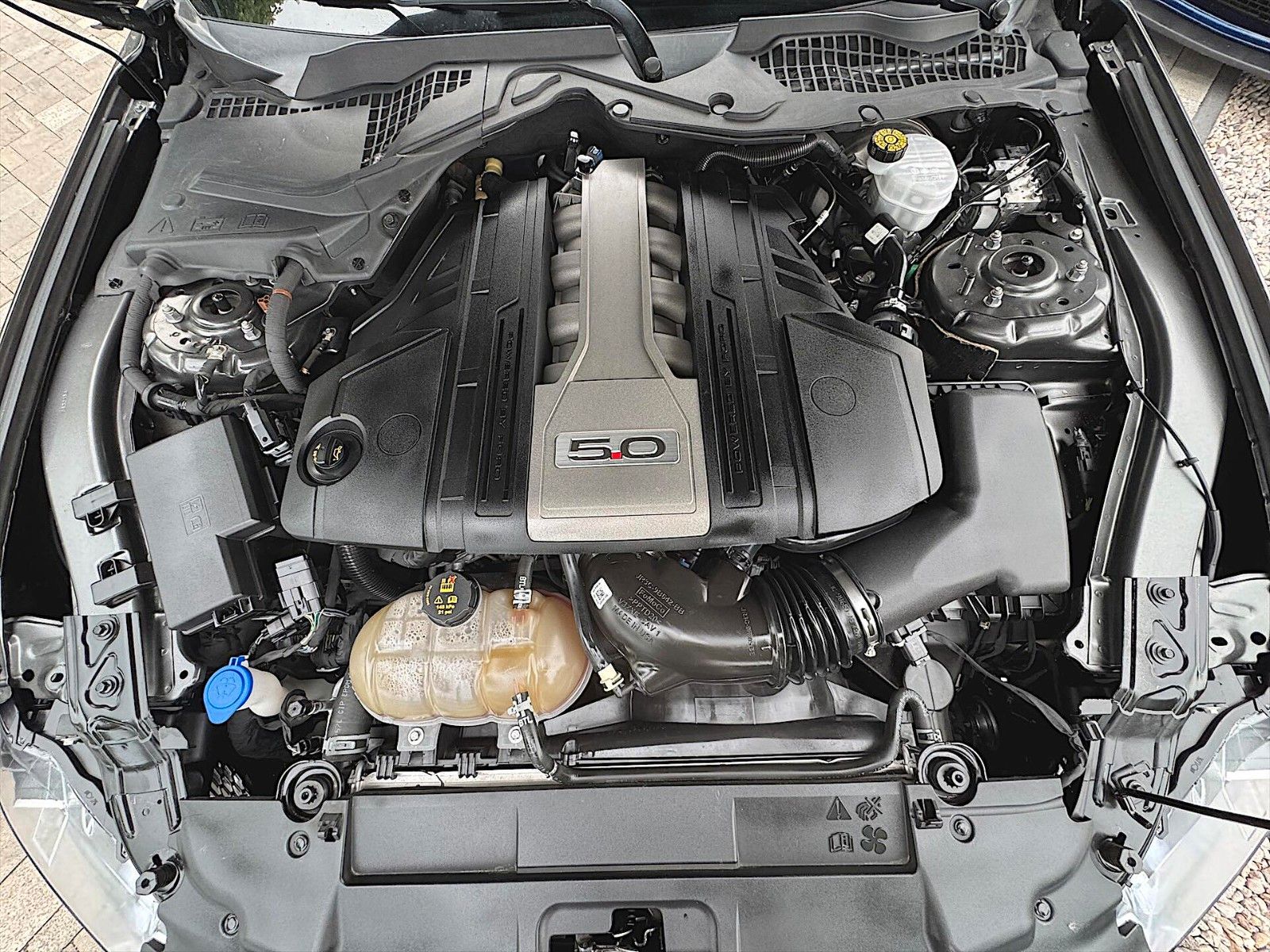 Fahrzeugabbildung Ford Mustang Shelby GT 5.0 V8 Performance *6Gang*LED*