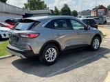 Ford Kuga  Titanium PHEV *LED-HUD* - Ford Kuga in Aachen