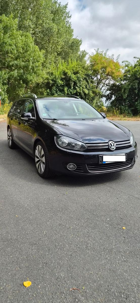 Volkswagen Golf 2010 — rear view