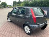 Fiat Punto 1.2 8V Active 1 Hand  Klima Nur 80Tkm - Fiat Punto: 1.2