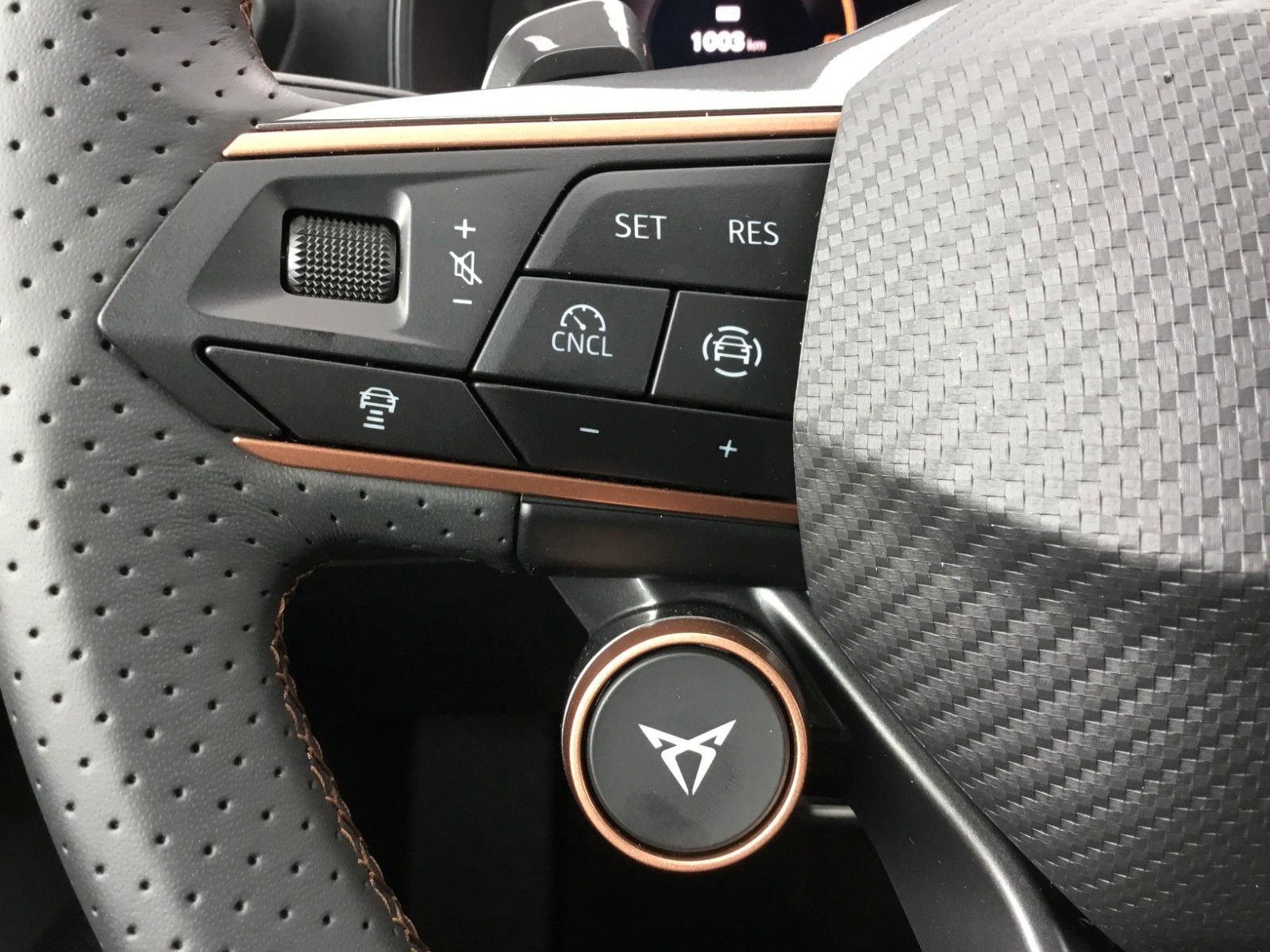 Fahrzeugabbildung CUPRA Formentor 2.0 TSI DSG 4WD+Pano+Matrix+AHK+19"