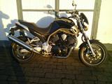 Yamaha BT 1100 Bulldog Topzustand+Service neu+Klassiker - YAMAHA BT 1100 BULLDOG