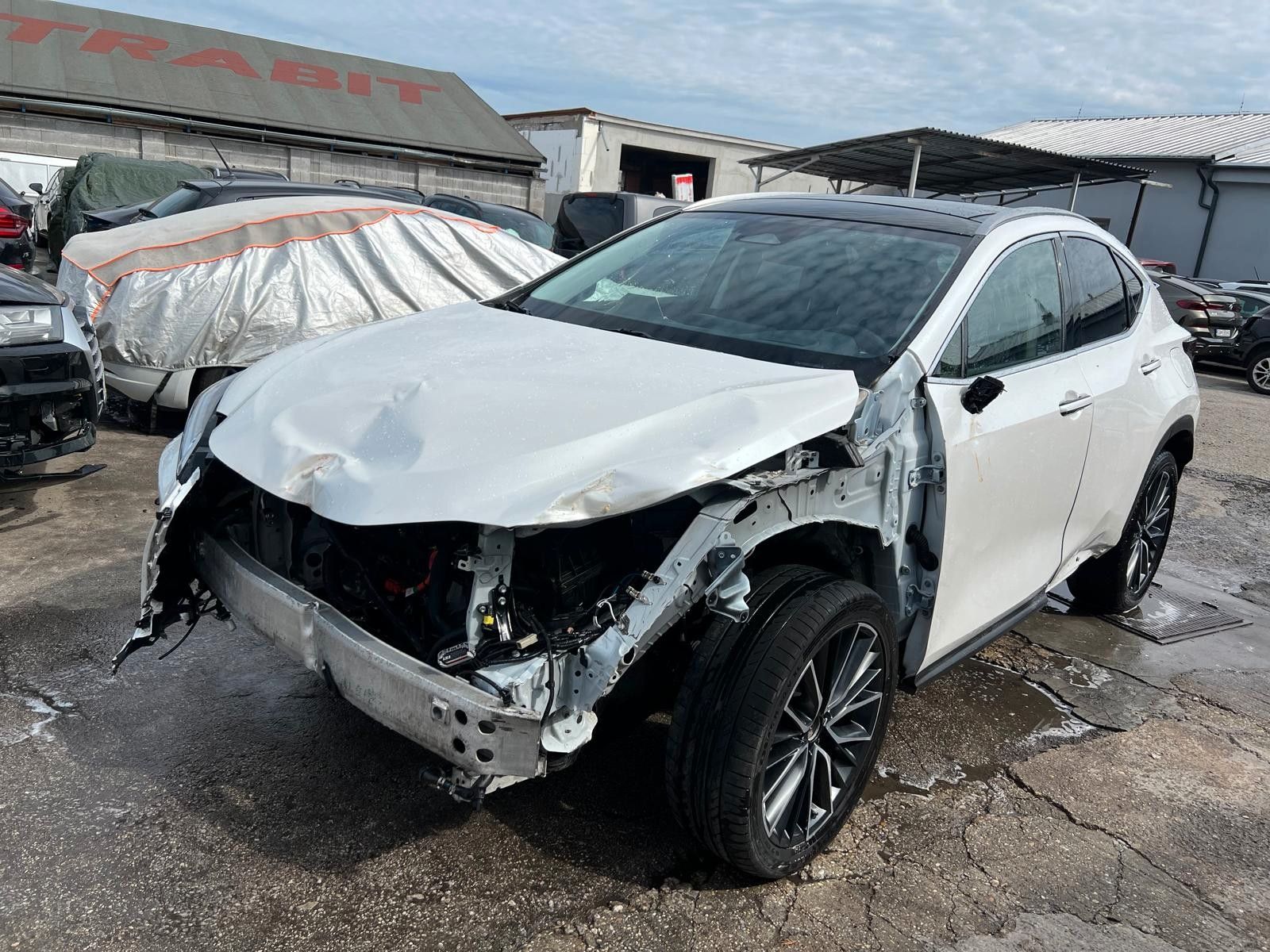 Lexus NX 350h busines 4x4 E-Four E-cvt 141kw