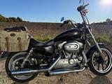 Harley-Davidson Sportster SuperLow 1200 | KessTech - Angebote