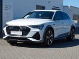 Audi e-tron S 370 quattro - B & O / Carbon