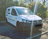 Volkswagen Caddy 2,0TDI 75kW  Dog Walker Ausbau - Volkswagen: Kleinbus, Ausbau