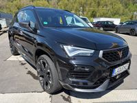 Cupra 