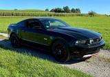 Ford Mustang GT V8 5.0 Unfallfrei! Top! - Ford Mustang: Von Privat