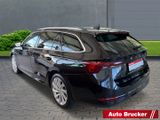 Skoda Octavia Combi First Edition 2.0 TDI+DSG+LED+AHK+ - Skoda Vorführfahrzeuge