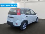 Fiat Panda Pandina Hybrid MY25 70PS  - Fiat Panda Tageszulassungen mit Benzin-Antrieb: Limousine