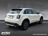 Fiat 600 1.2 Mild-Hybrid Sonderedition (EURO 6e) - Fiat 600 New cars