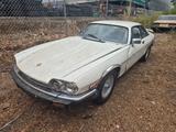 Jaguar XJS USA Kalifornia - : Sportwagen, Usa