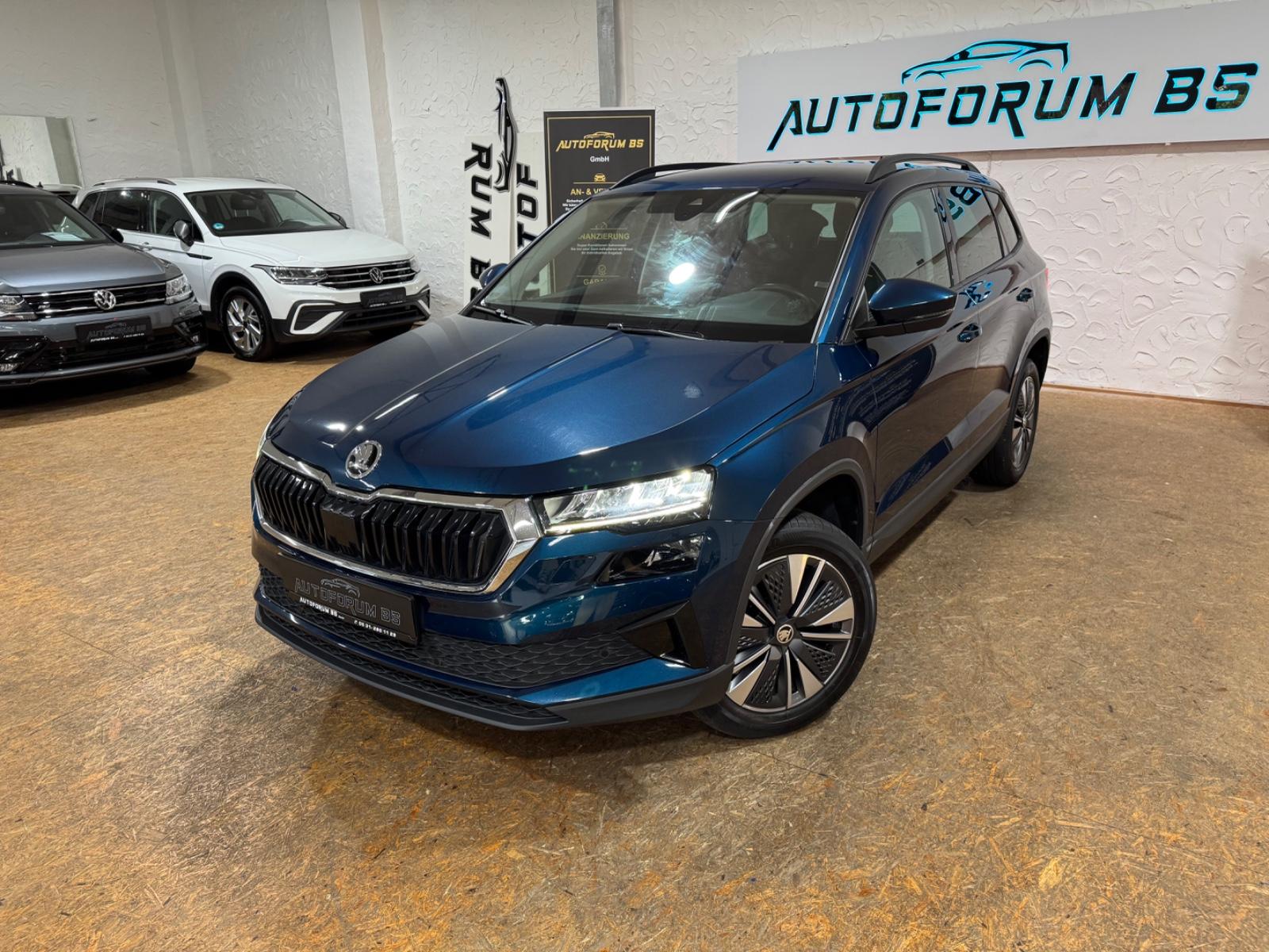 Skoda Karoq Tour 2.0 TDI DSG/AHK/ACC/4xSHZ/