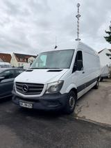 Mercedes-Benz Sprinter 313 CDI L3 H3 Maxi  - Mercedes-Benz Sprinter: 313 Cdi Maxi