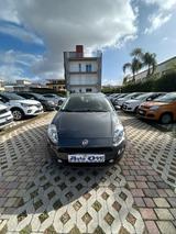 Fiat Punto 1.2 8V 5 porte Street GPL - Fiat Punto mit LPG-Antrieb
