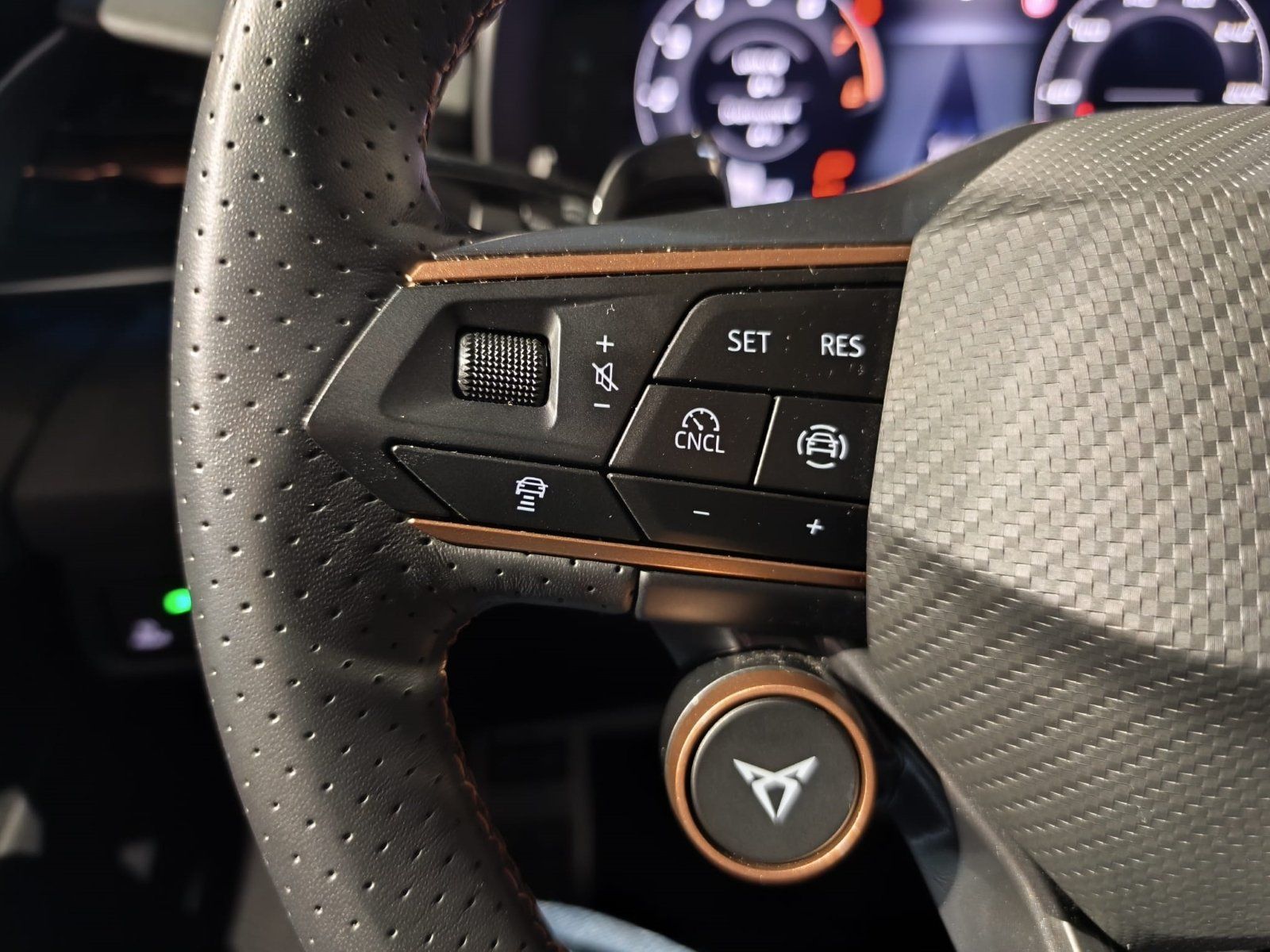 Cupra Terramar - Bild 13