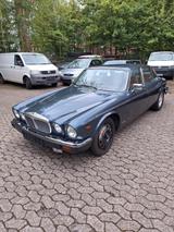 Jaguar XJ12 Daimler Double Six Arden Tuning - Jaguar: Arden