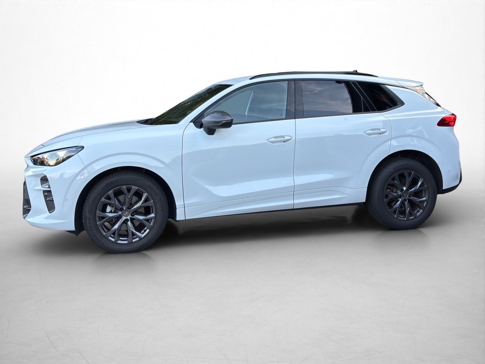 Cupra Terramar - Bild 4