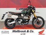 Triumph Scrambler 1200 XE ABS - Angebote entsprechen deinen Suchkriterien