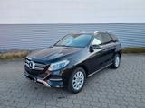 Mercedes-Benz GLE 400 4MATIC -Standheizung-Panorama-Garantie - Mercedes-Benz GLE 400 Gebrauchtwagen