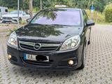 Opel Signum 1.8 - LPG - Opel Signum: 1.8