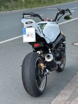 Kawasaki ZX9R - Offers matching your search criteria