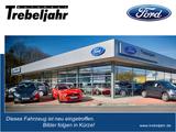 Ford Tourneo Courier Titanium 1.0 EcoBoost KAMERA+SHZ - gebrauchte Ford Tourneo Courier aus dem Jahr 2017