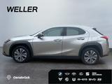 Lexus UX 300e *Bi-LED*Leder*SHZv+h*PDC v+h*Kamera*ACC* - Lexus in Wuppertal