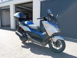 Honda Forza 125 ABS - ABS ROLLER 125
