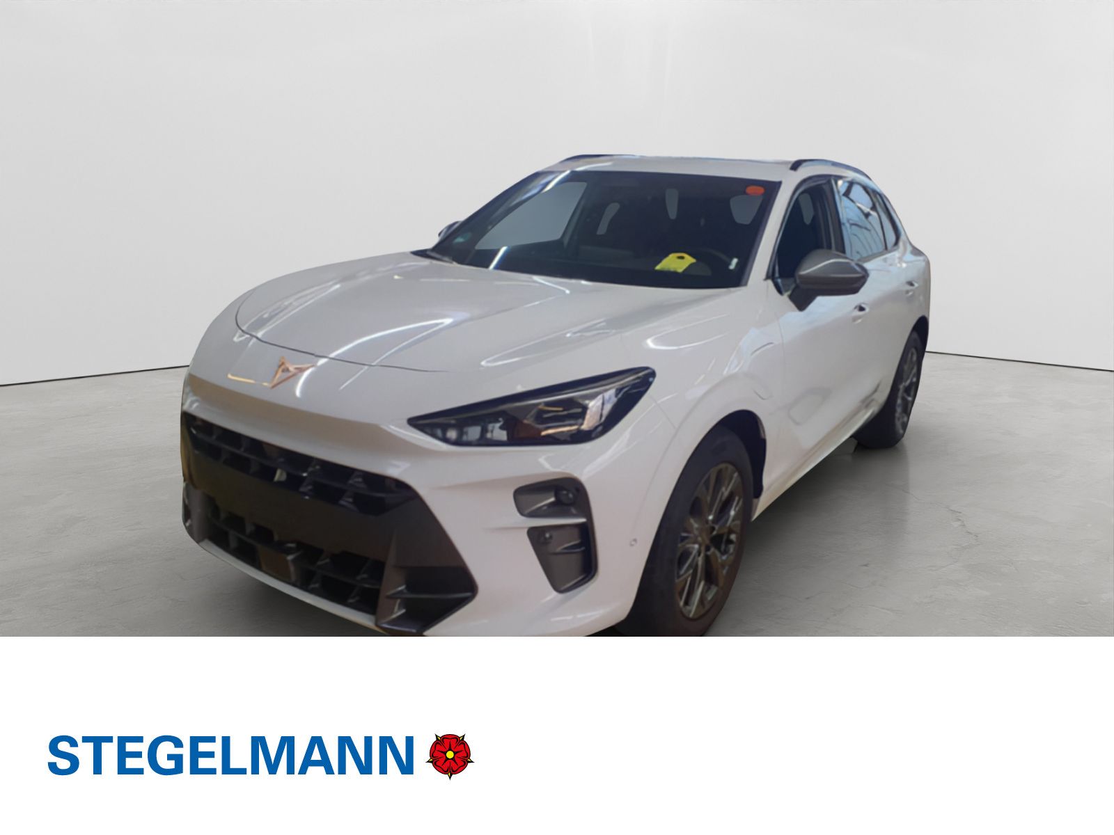 Cupra Terramar 1.5 TSI e-Hybrid DSG *Kamera*LED*Navi*S