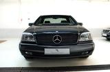 Mercedes-Benz CL 420 / S 420 C - ESD - Memory - Top Zustand! - Mercedes-Benz CL 420 Gebrauchtwagen