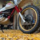 Yamaha XT 600 Tenere 55W Top Zustand - YAMAHA XT 600