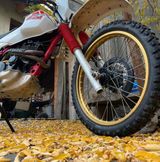 Yamaha XT 600 Tenere 55W Top Zustand - Angebote entsprechen deinen Suchkriterien