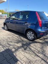 Fiat Punto 1.2 Benzin*5 Trüg*TÜV 04/2027 - Fiat Punto Gebrauchtwagen in Mannheim