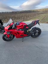 Ducati Panigale V4 - Ducati Motorräder in Nürnberg