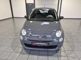 Fiat 500 1.0  Mild Hybrid Cult|Bluetooth - Fiat 500 Cult mit Benzin-Antrieb