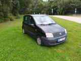 Fiat Panda - Fiat Panda Gebrauchtwagen in Bremen
