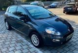 Fiat Punto 1.2 8V 5 porte Neopatentati - graue Fiat Punto