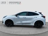 Ford Puma ST X - Track Pack, Pano, voll - Ford: ST