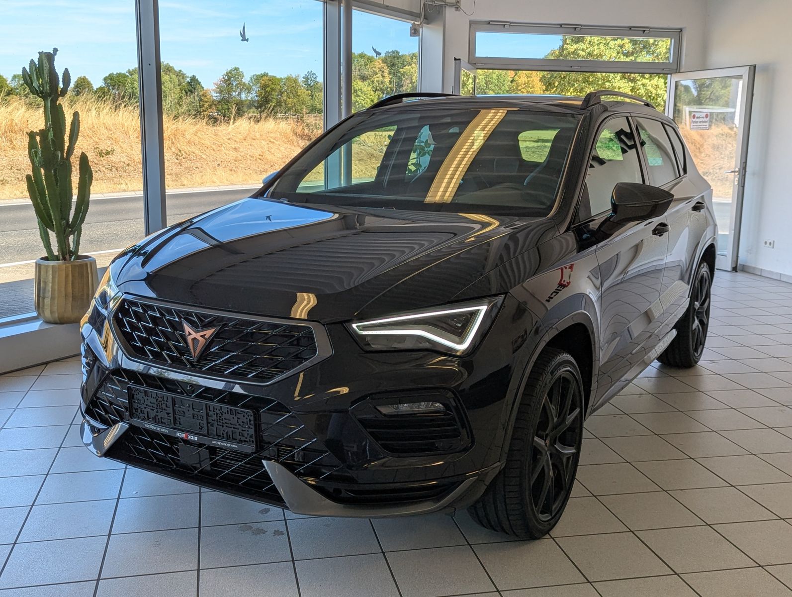 Fahrzeugabbildung CUPRA Ateca 1.5 TSI DSG Pano Dinamica ACC Cam AHK 19"