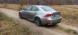 Lexus IS 300 300h F-Sport Automatik F-Sport - scheckheftgepflegte Lexus IS-Serie