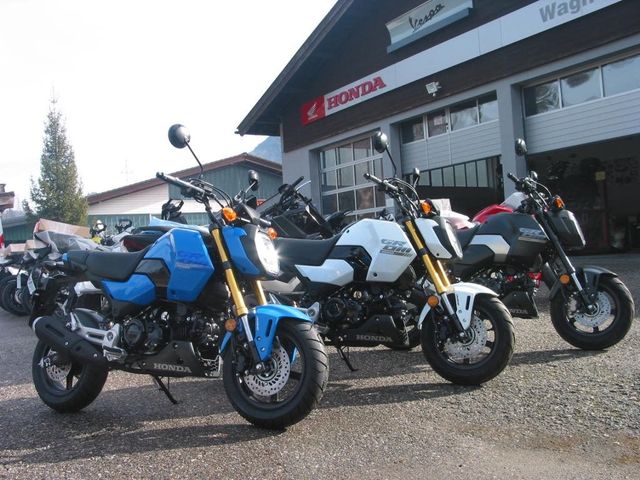 Honda MSX125 Grom *Aktion Führerscheizuschuß