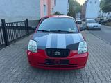 Kia Picanto 1.1 LX - Kia Picanto Lx mit Benzin-Antrieb