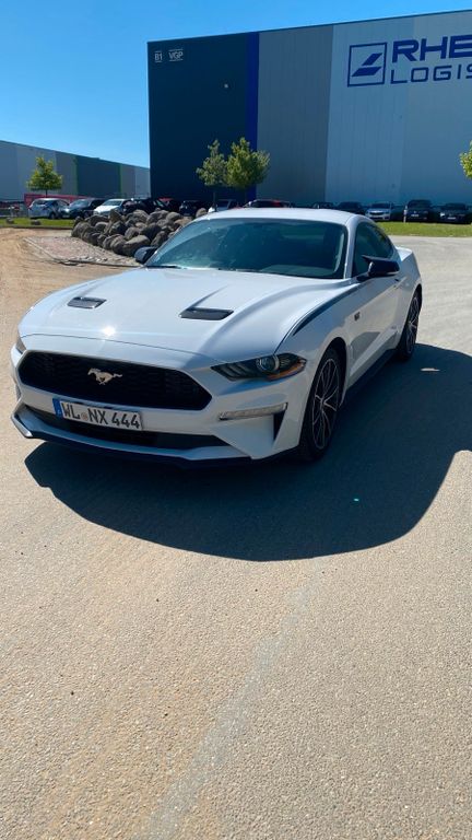 Image of Ford Mustang