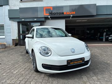 Volkswagen Beetle - 6
