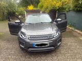 Andere Range Rover evoque - Andere mit Diesel-Antrieb