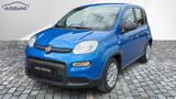 Fiat Panda 1,0 Hybrid (MHEV) Pandina Base DAB MFL PDC - Fiat Panda Gebrauchtwagen in Wuppertal