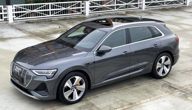 Audi e-tron 50 quattro S line/Head-up/Pano